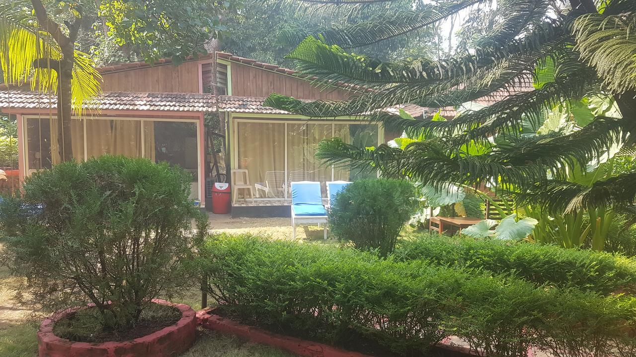 Curlies Zulu Land Hostel Anjuna Εξωτερικό φωτογραφία