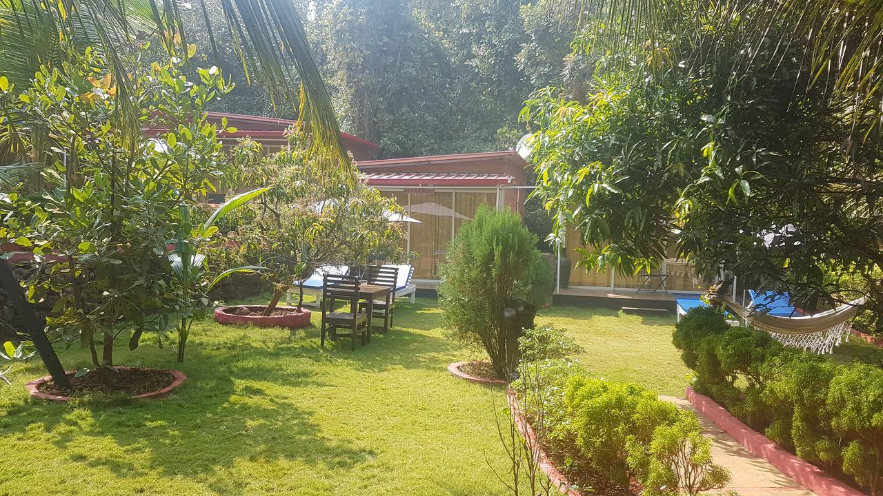 Curlies Zulu Land Hostel Anjuna Εξωτερικό φωτογραφία