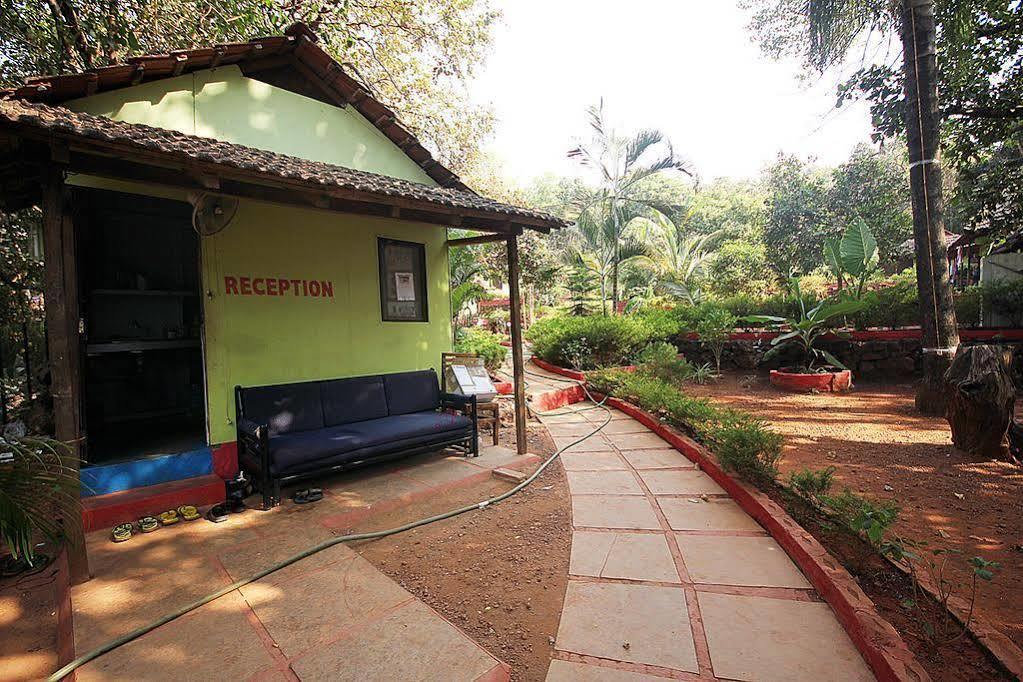 Curlies Zulu Land Hostel Anjuna Εξωτερικό φωτογραφία