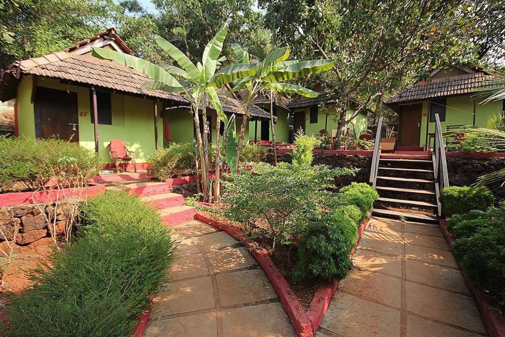 Curlies Zulu Land Hostel Anjuna Εξωτερικό φωτογραφία